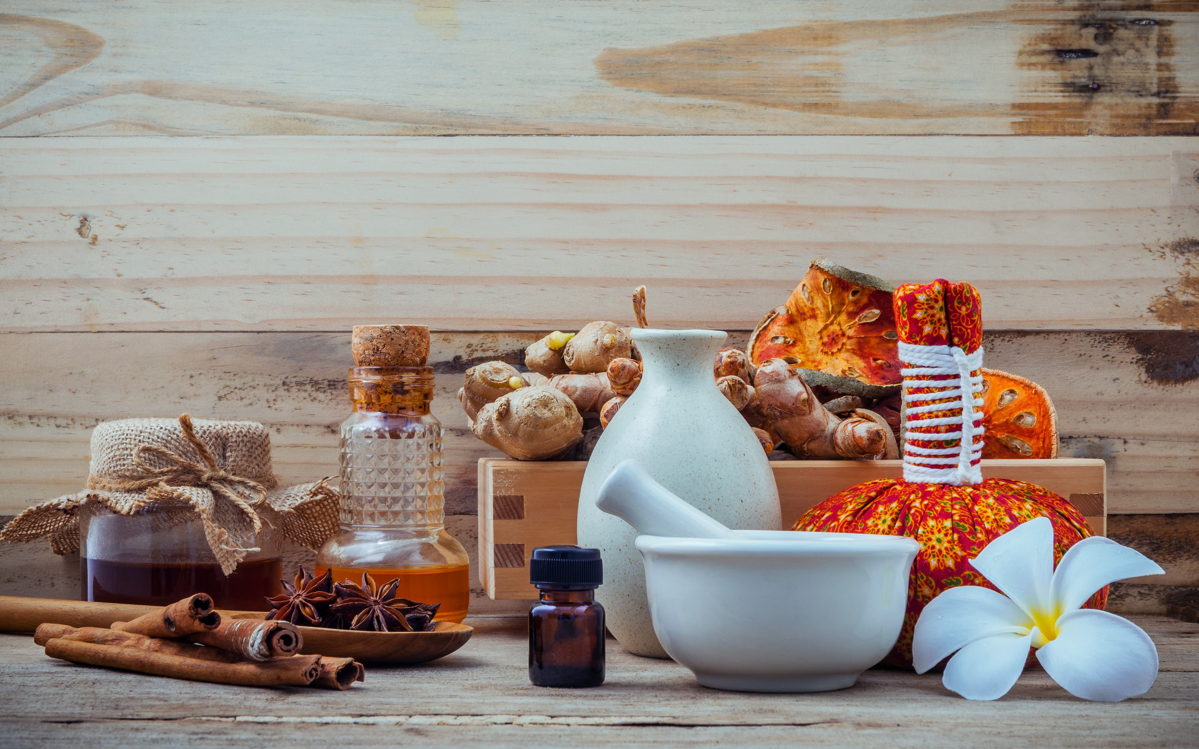 Someone gifting a plant to another person